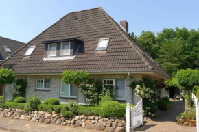 Seehund im Haus Nordwind
